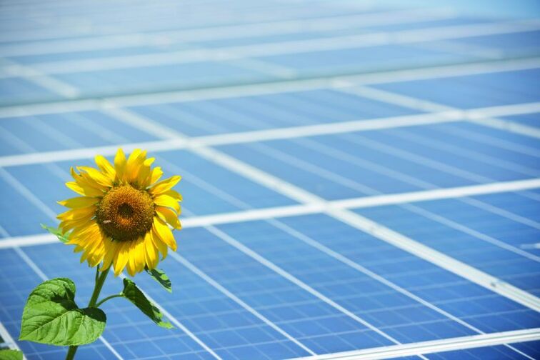 Ηλιοτρόπια και ηλιακά πάνελ για εξοικονόμηση ενέργειας